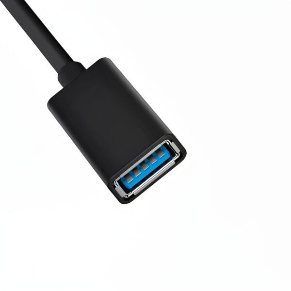 0bd945c19b9792ea07105cfe7597c342.jpg USB-C to USB 3.1 Adapter -- MotPoet